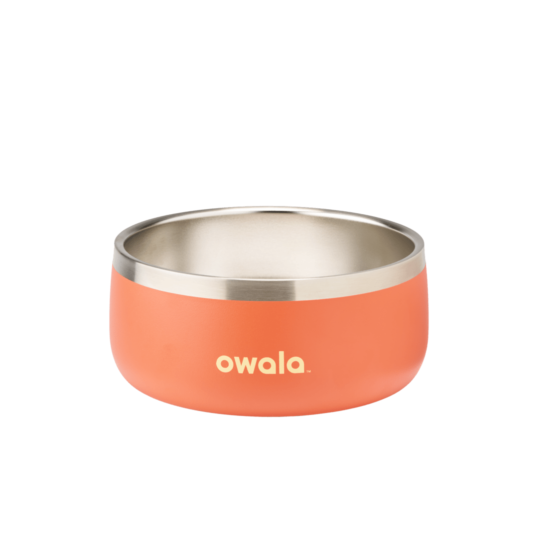 Pet Bowl [4AFB]