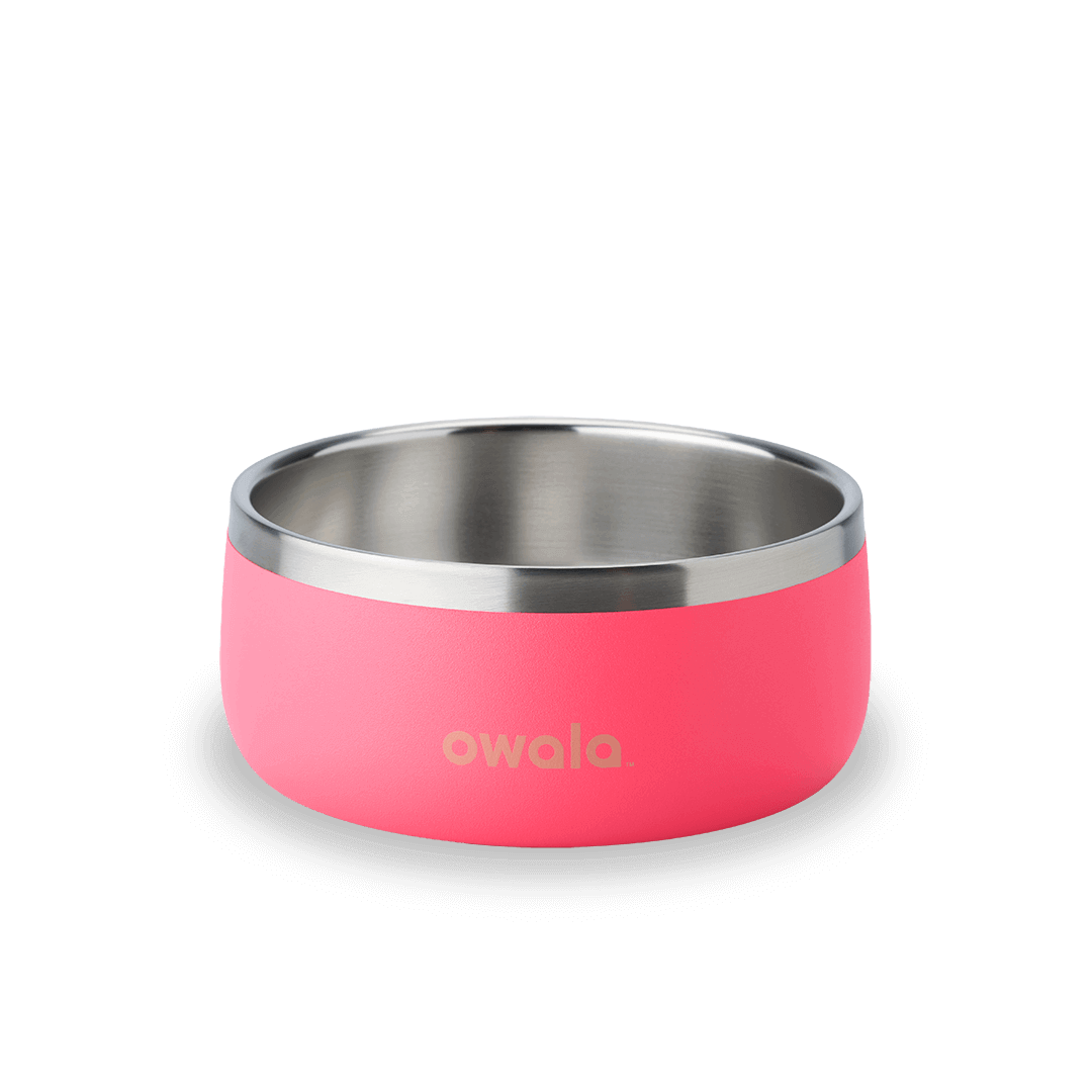 Pet Bowl [4AFB]